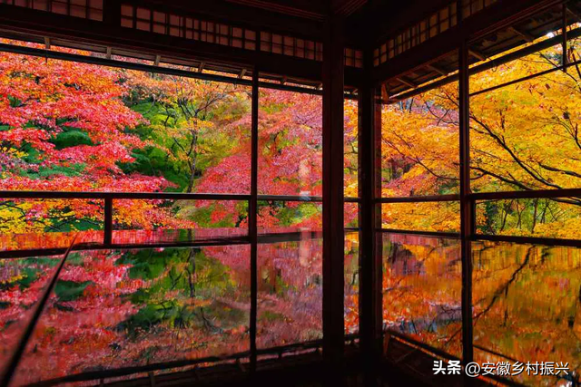 第一批抵达网红景点的游客，已被诈骗......