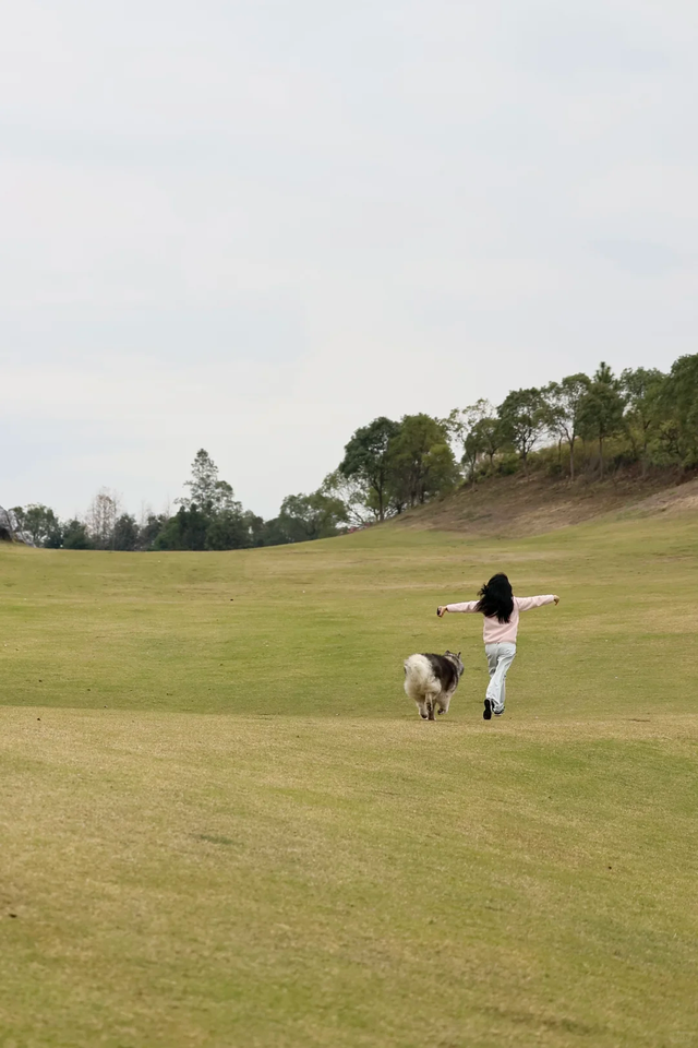 在韶关，带毛孩子去哪“浪”？这份宠物友好地图请收藏，撒欢不踩雷~