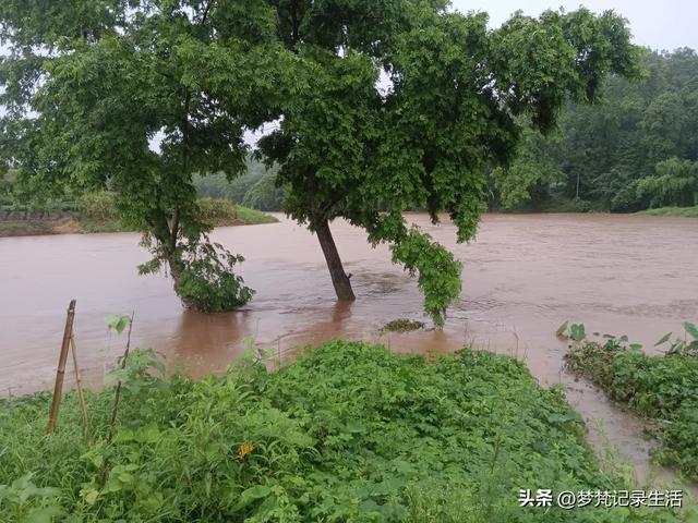 70多岁的老娘像个拼命三郎,一个人在雨天漫步拥抱大自然感觉不错