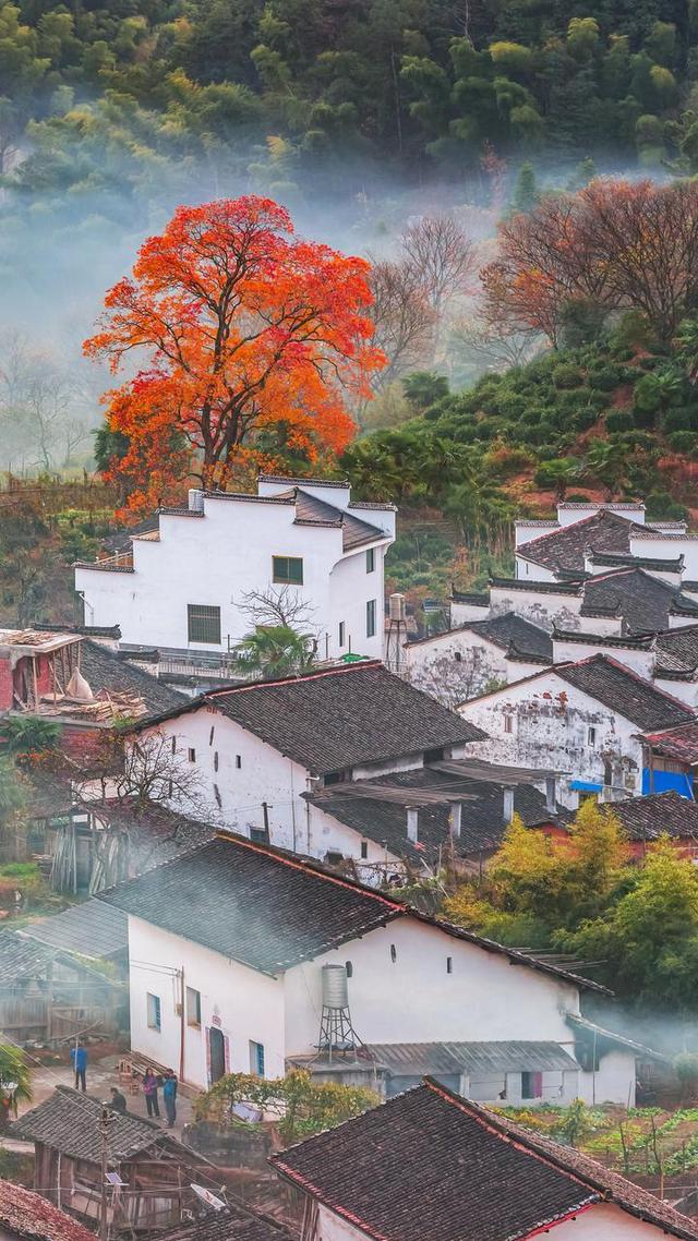快收好！11月赏秋最值得去的地方，随便挑一个就出发，绝对不白去