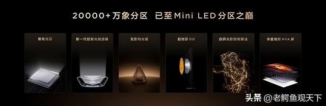 全球显示技术竞赛迎来中国答案 TCL SQD-MiniLED全局高色域征服行业