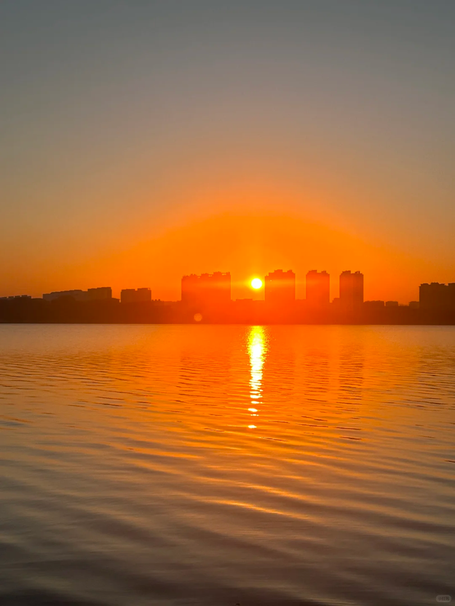 来临沂看日出！逛早市！一起「点靓」沂河的夜