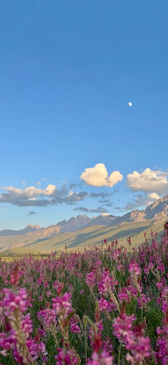 手机壁纸|自然风光，风景如画