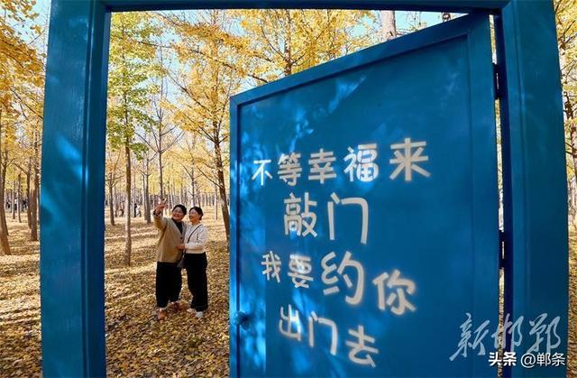 千亩银杏“披金”迎客来