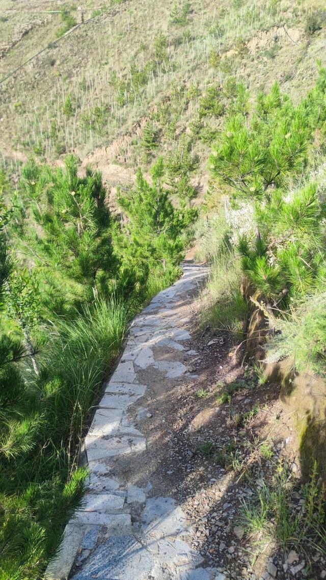 爬拉萨南山公园