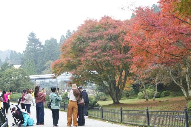 第二届庐山音乐节“邂逅”庐山赏枫季：乐队游客歌迷喜重重