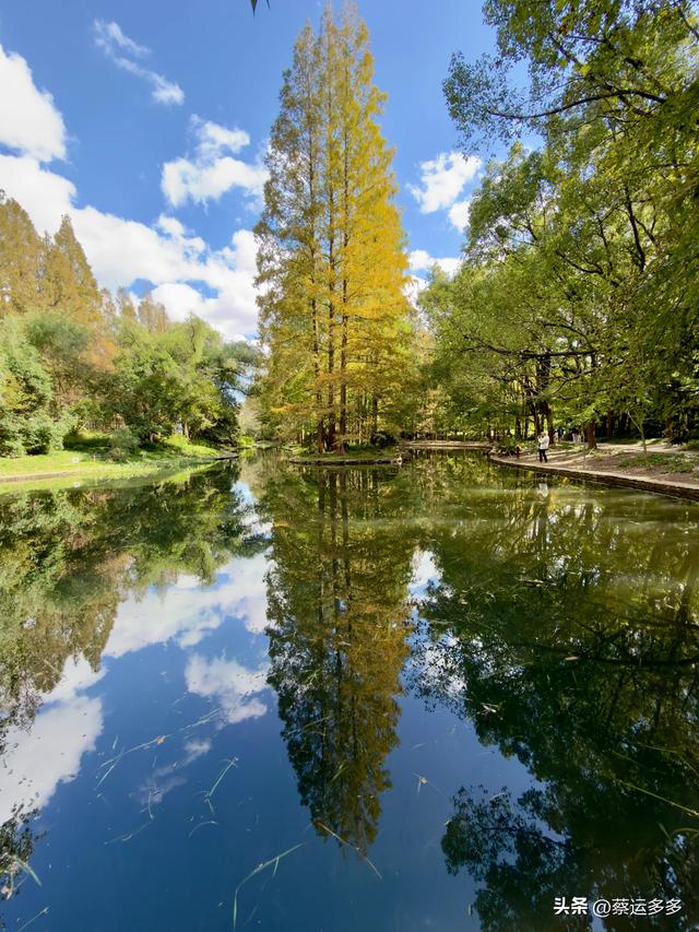 重阳节，上海赏秋之美