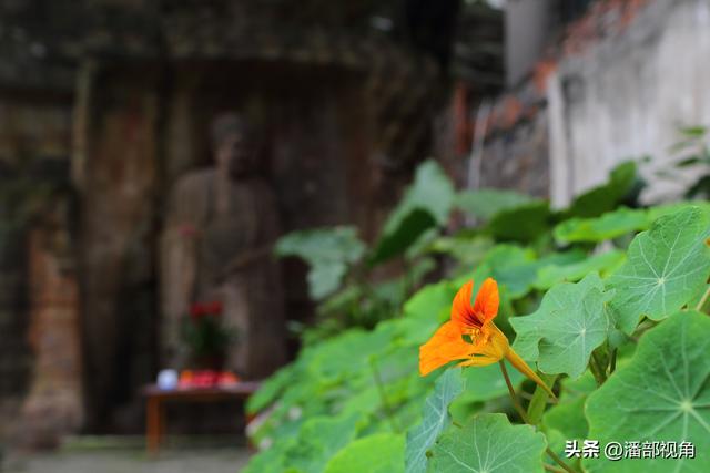 巴蜀石窟：内江东林寺摩崖造像
