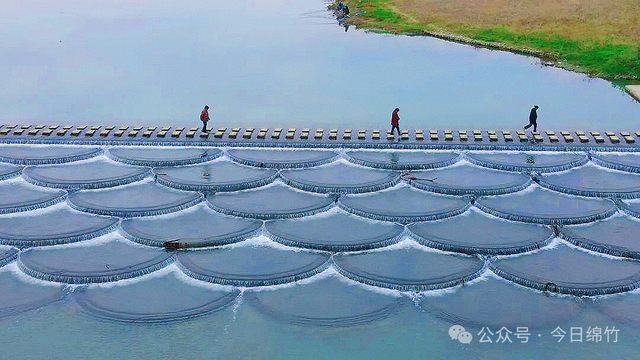 美爆了！绵竹这三个村新增一批网红打卡点，赶紧冲……