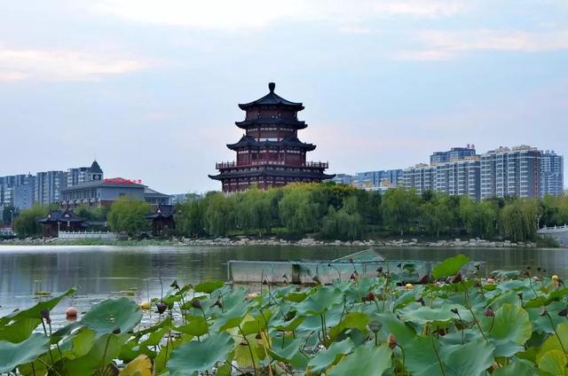 “儒韵济泰·多彩旅程”五大主题旅游线路来啦