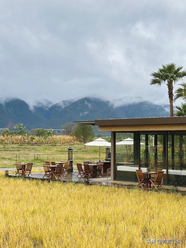 本想追晴天秋色，却在大围山遇雨，意外读懂“暮霭沉沉楚天阔”