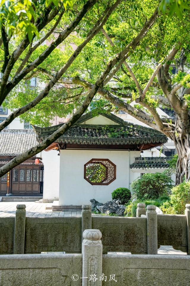 浙江又一个Citywalk天花板，温州四天游经典攻略来了