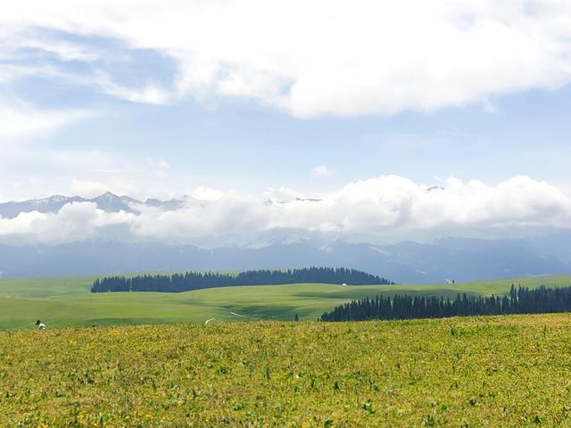 北疆行⑨——穿越喀拉峻草原