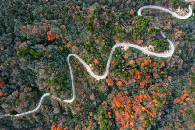 来洋县华阳!赴一场秋日之约~