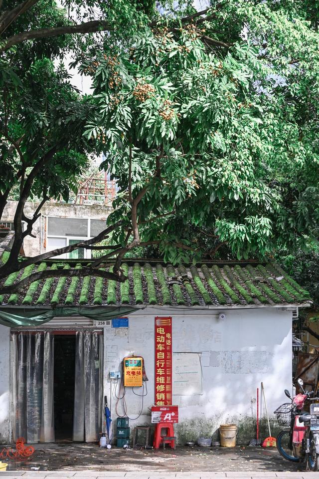 深活指南｜城市漫游指南·光明站