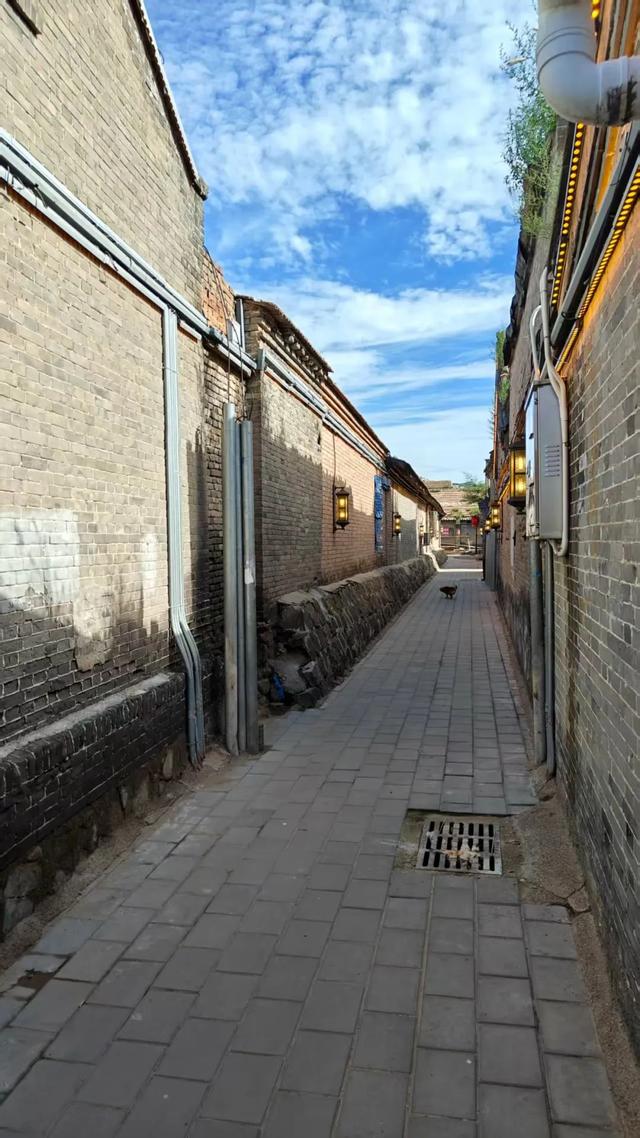 当了一回“特种兵”