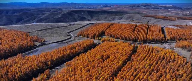 进度已达90%！呼和浩特进入全盛期！最近每天都不一样，呼市人抓紧出门