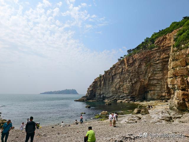 大连海之韵公园·棒槌岛