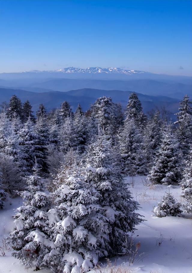 长白山的冬天：一日见尽北国绝色