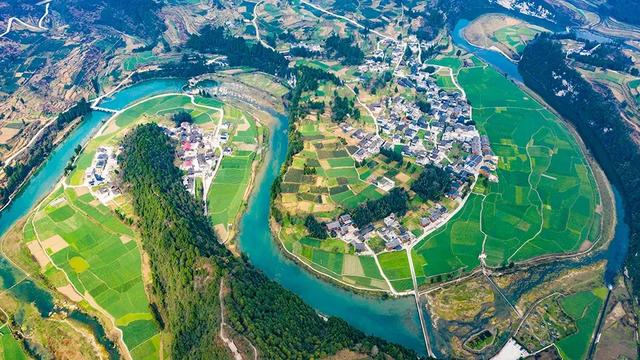 乡游黔中 · 凤冈县 进化镇丨银杏鎏金映古寨，高腔茶灯醉秋韵