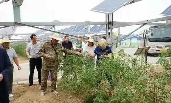 有意思！一个哈萨克斯坦代表团来到我国，竟是为考察治沙工作？