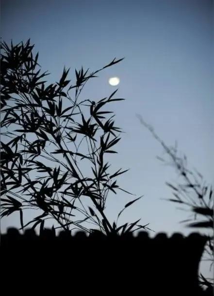 仲夏之夜