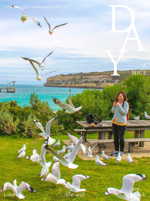 澳大利亚墨尔本｜大洋路自驾游攻略｜史上最浪的海岸线