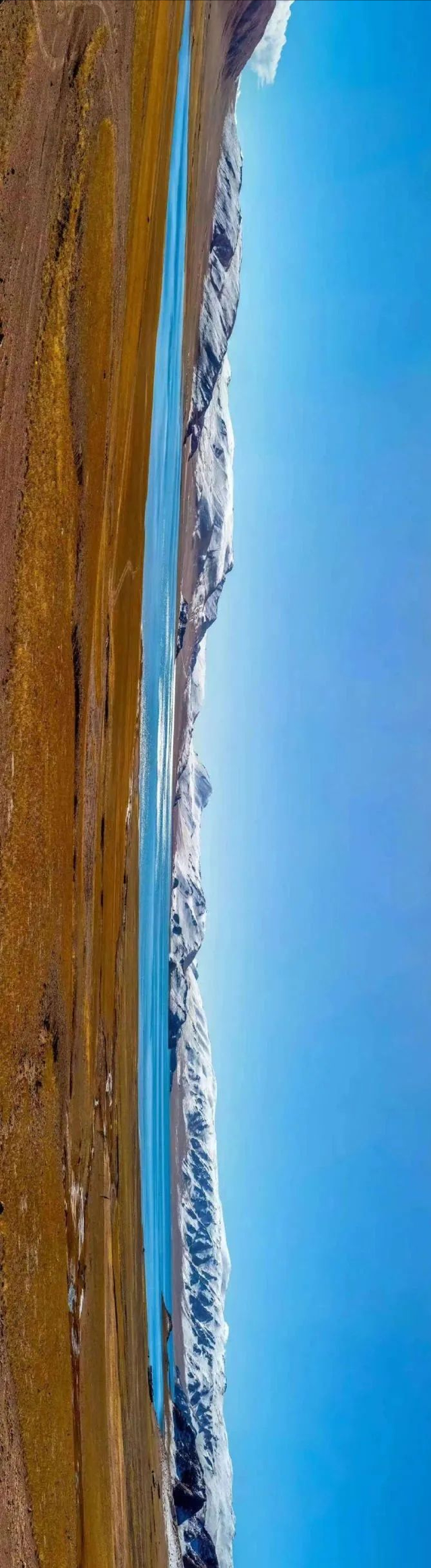 极地那曲不仅美在雪山湖泊，更美在每一棵生机盎然的树