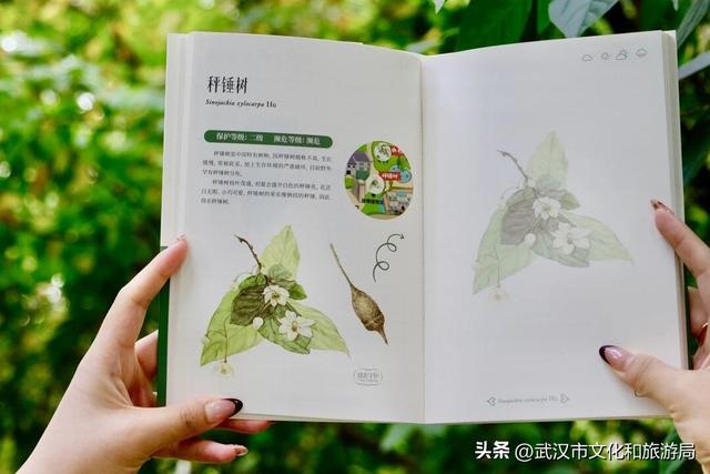 当武汉植物园来了“新朋友”！五大自助神器，等你来解锁