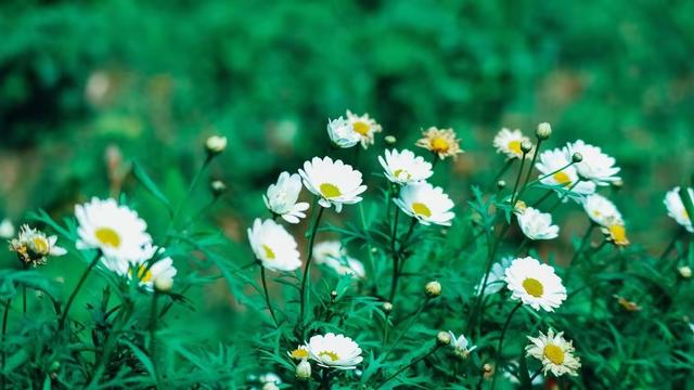 属猪人的中晚年宿命	，尤其是71年	、59年的，不是一般准！