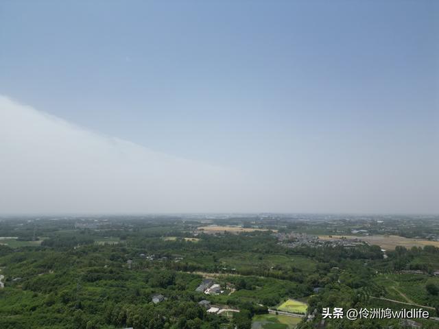成都徒步（64）·新津篇③观音寺