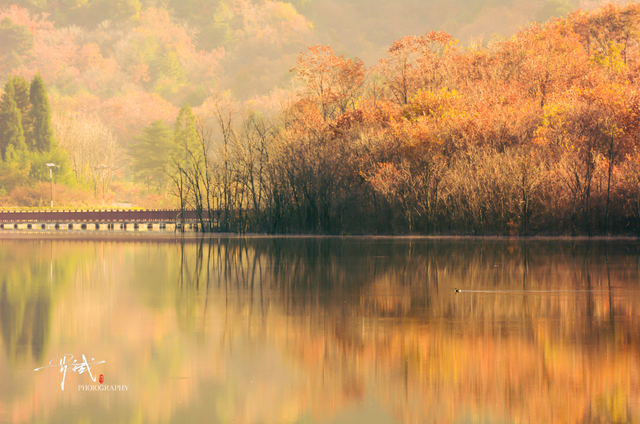 来广元月坝，解锁一场“多巴胺”初冬