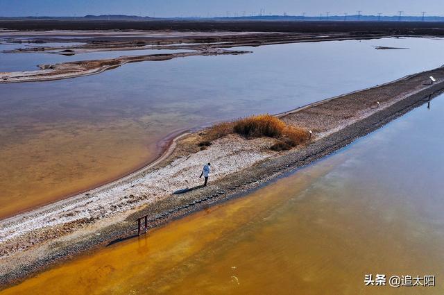 “大雪”时节的景泰盐沼湿地