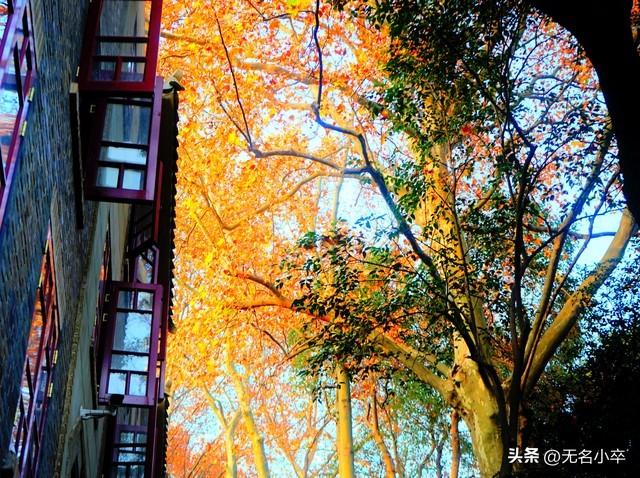 免费的才是最贵的，不要贪小便宜，否则你就是那只被待宰的羔羊