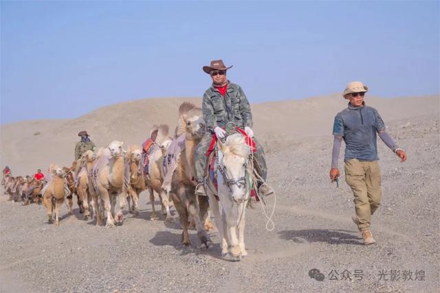 新疆“东天山来的骆驼队”抵达敦煌阳关
