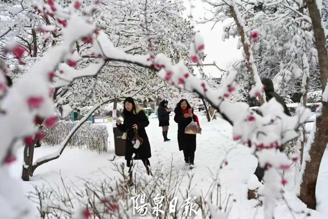 阳泉春雪上线，每一帧都是壁纸