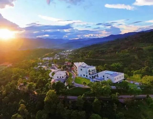 倒计时7天！解锁2025普洱茶咖博览会的N种宝藏玩法