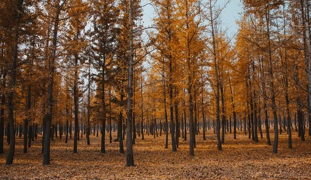 我52岁	，找了个62岁老头搭伙过日子，发现男人年纪大了照样“作”