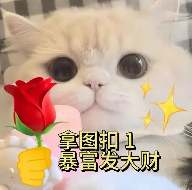 手机锁屏壁纸5.21