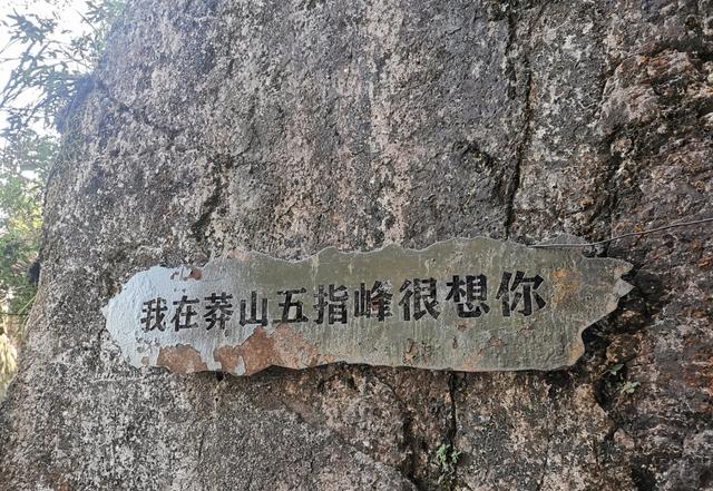 又称人间小张家界，莽山的五指峰。原因是这是一座“不用爬的山”