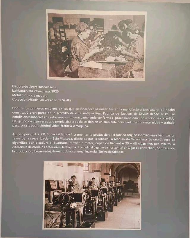 参观塞维利亚大学