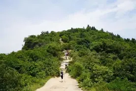 呼朋唤友登高去，苏州这个地铁站居然可以租“登山杖”图片