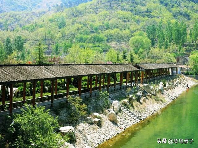 山东这5个小众避暑圣地，不仅凉快得像天然冰箱，而且人少景美