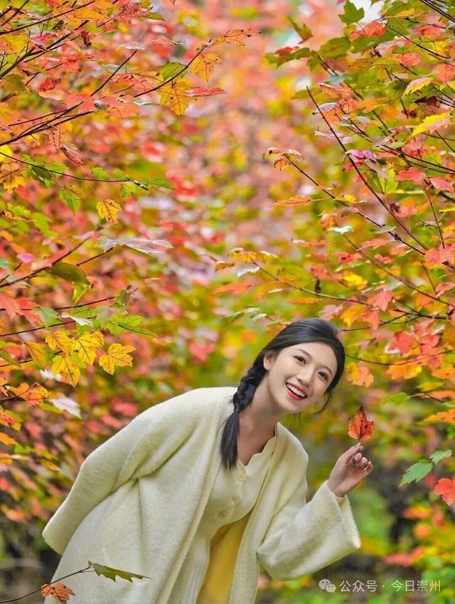 秋假去哪？崇州这些亲子游宝藏地不容错过