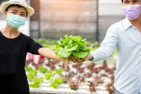 千万不要长期吃这五种灌药水的蔬菜啦，这是为什么呢图片