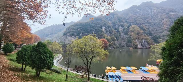 最爱秋意行不足 再上翠华赏秋色