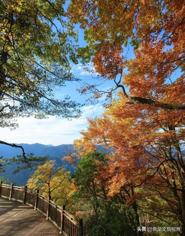 穿越米仓红枫，探秘巴山大峡谷：秦巴山脉里的秋日秘境与千年巴韵