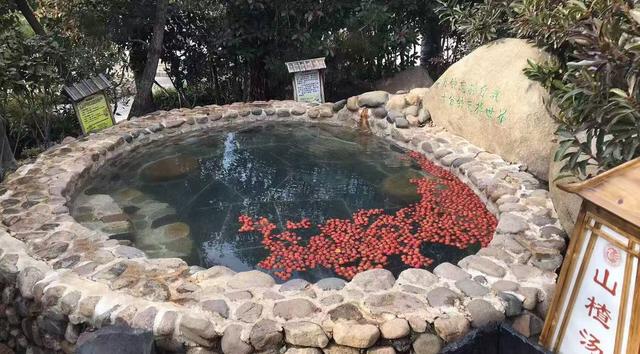 周末好去处 | 被临沂暖到 流泪！