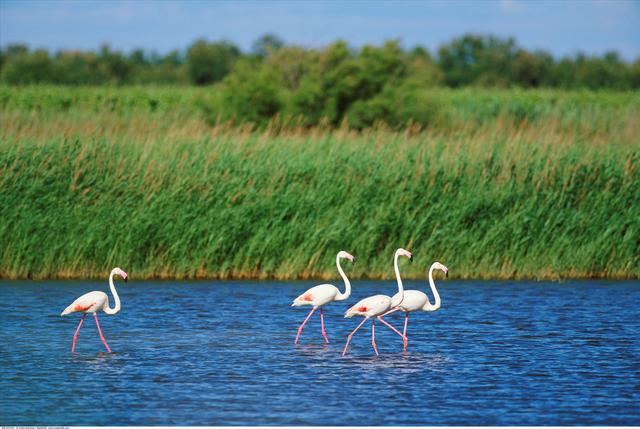 韶关没想到，清远也没想到，现在的深圳，怎么突然这么火了！