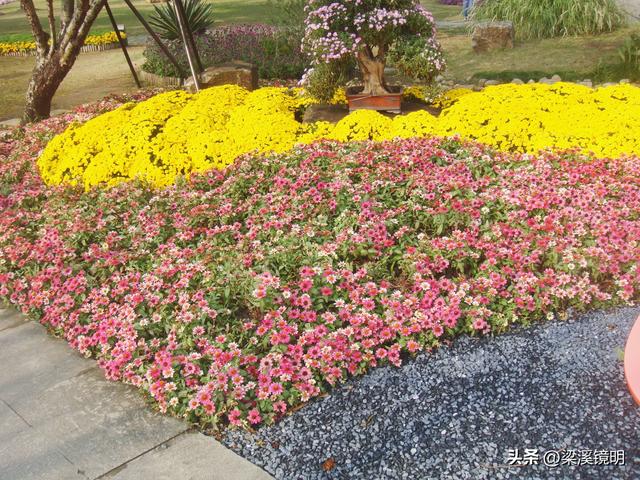 重阳时节，游苏州上方山（上）